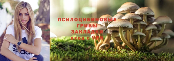 молекула духа Протвино