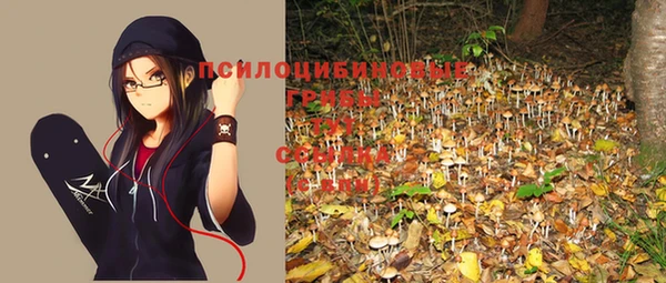 стафф Балахна