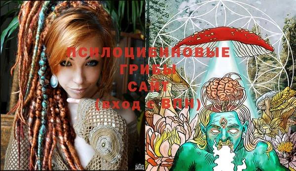 прущие крисы Баксан